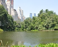 DSC_2000 Central Park, Manhattan, NYC -- 1 July 2012